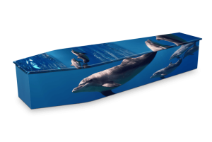 PACIFIC DOLPHINS