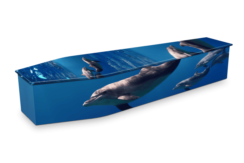 PACIFIC DOLPHINS