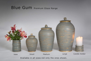 Blue Gum