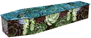 Succulents