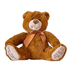 Teddy Bear 2