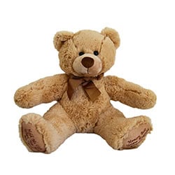Teddy Bear 1